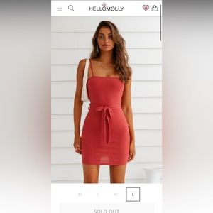 Hello Molly Copy That Dress